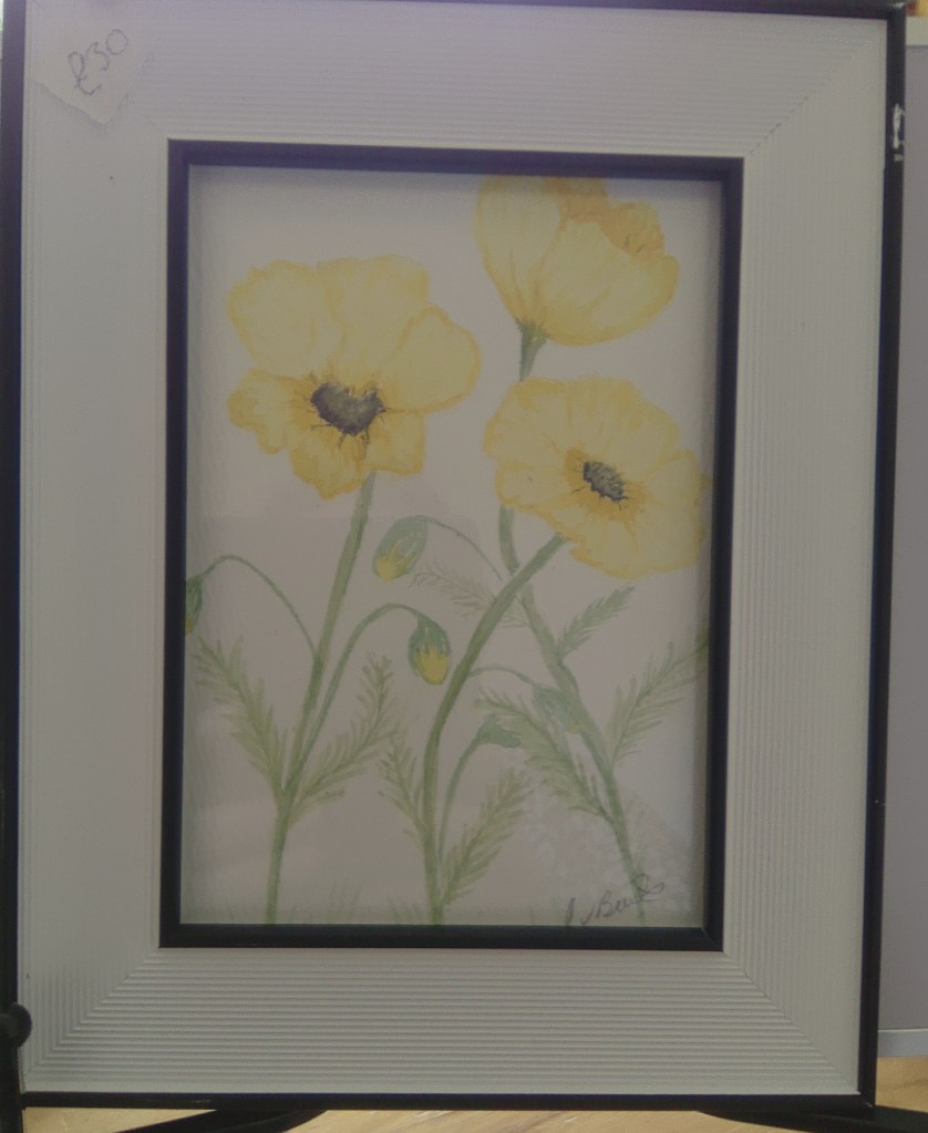 Framed watercolour painting of yellow poppies
