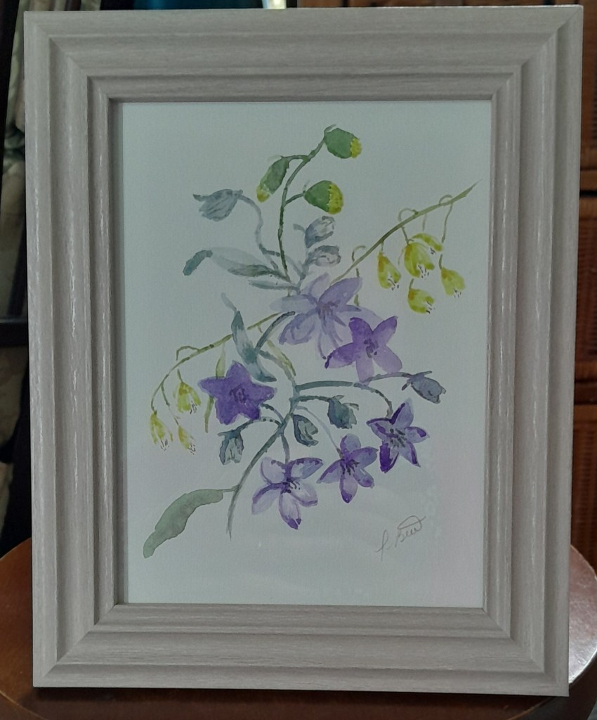 Framed watercolour painting of purple columbine flowers with yellow buds