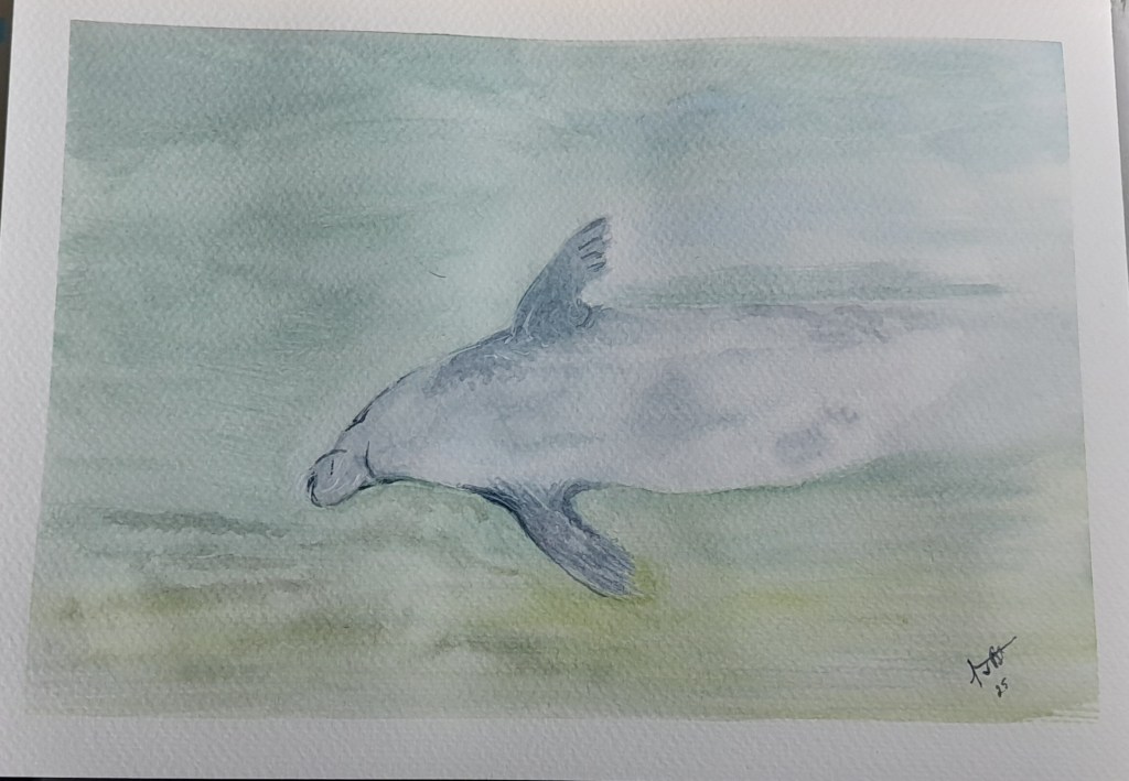Watercolour painting of a seal swimming underwater